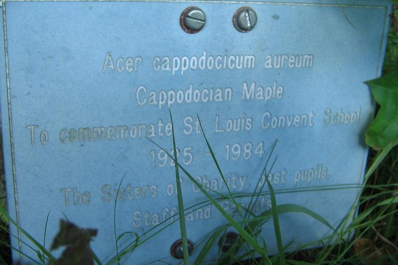 The Plaque